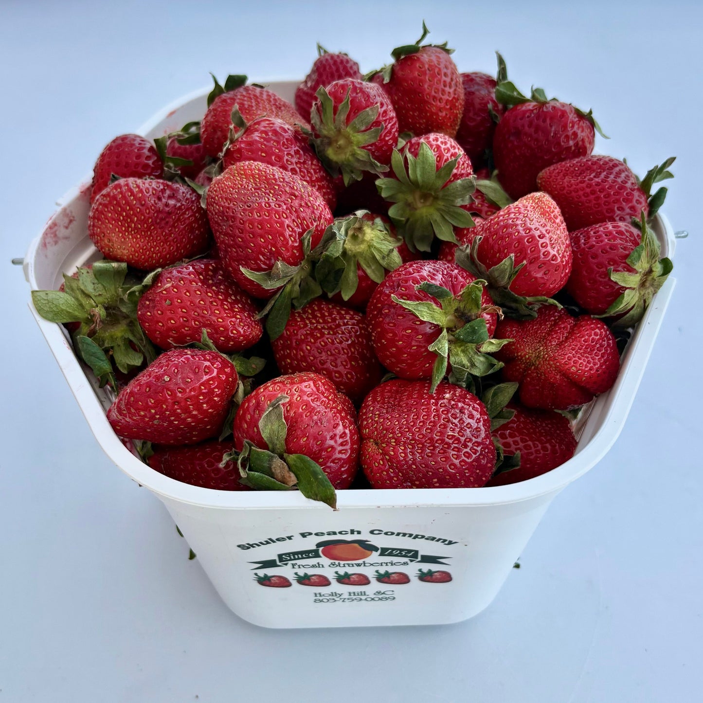 Berries