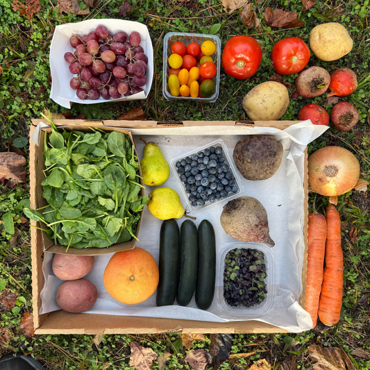 Farm Box