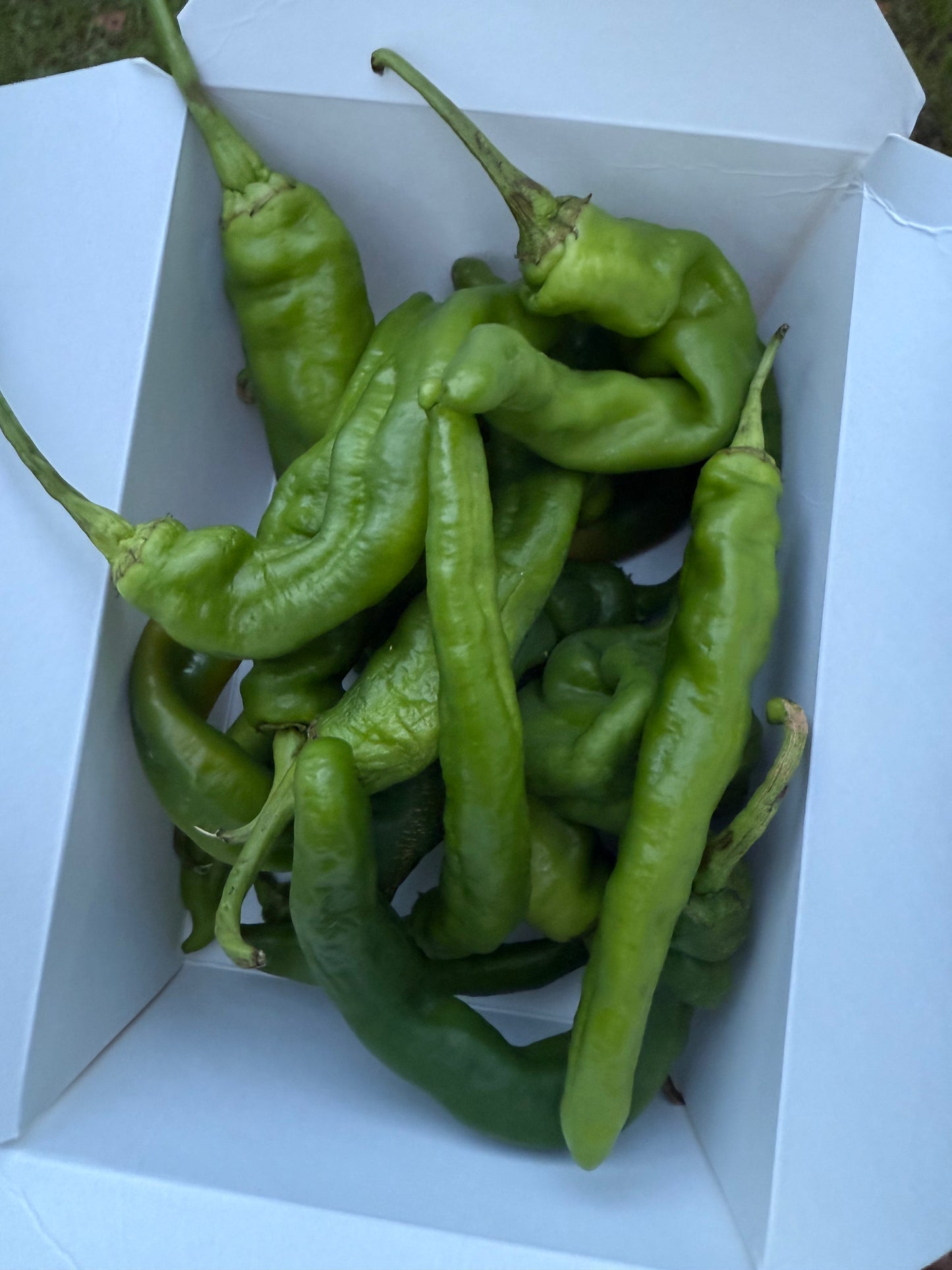 Peppers