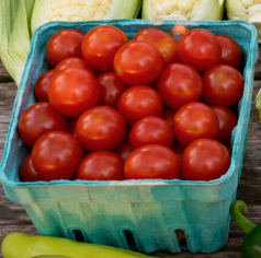 Tomatoes