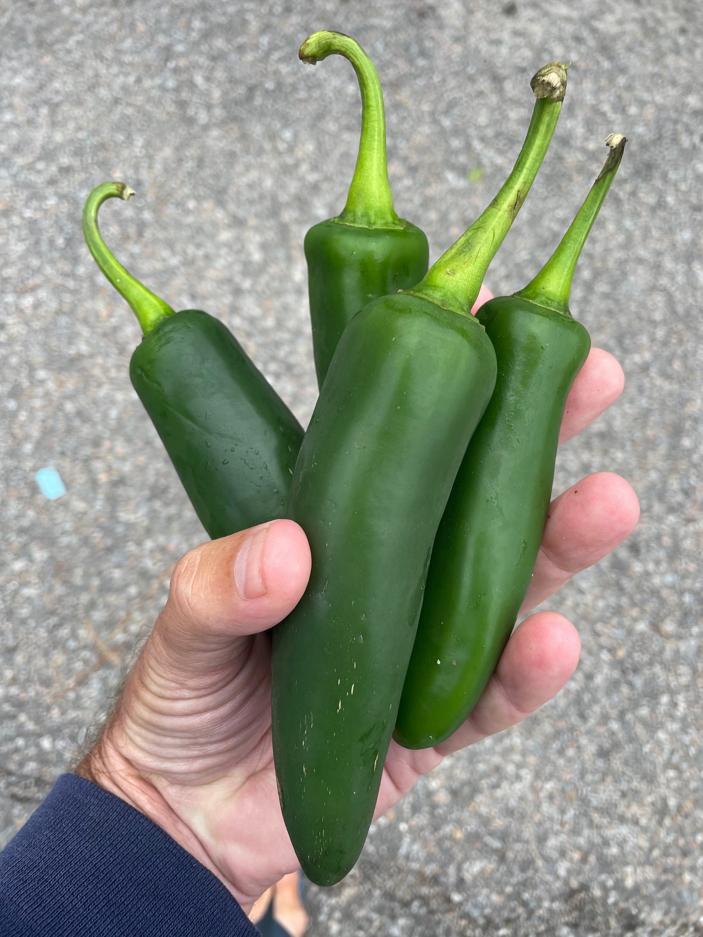Peppers
