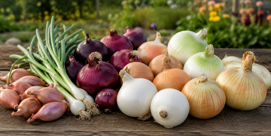Onions
