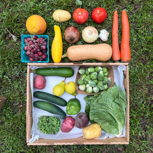 Farm Box
