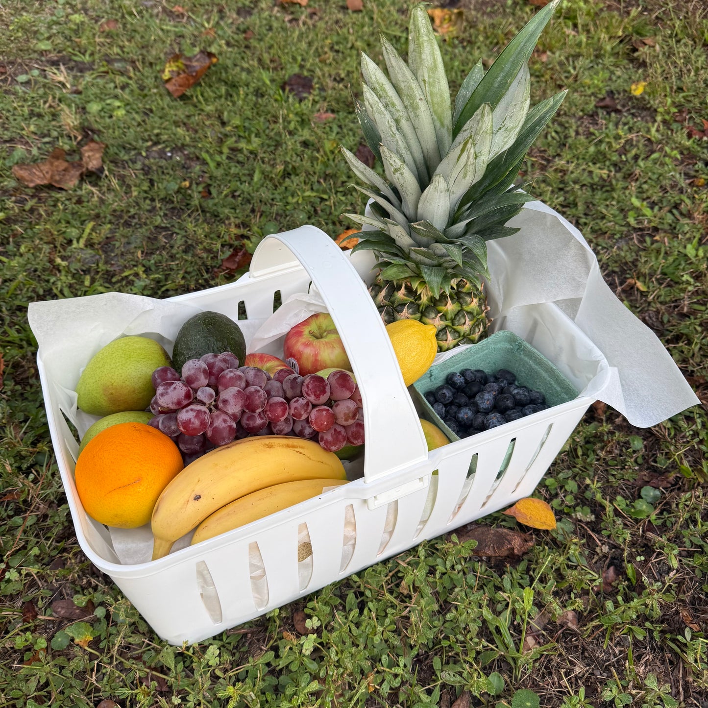 Fruit Basket