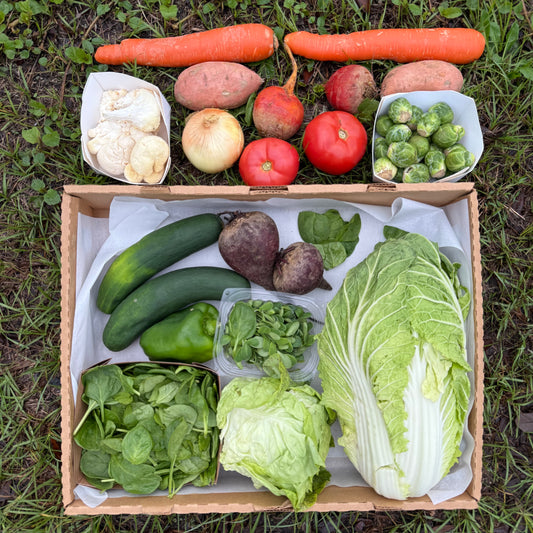 Farm Box