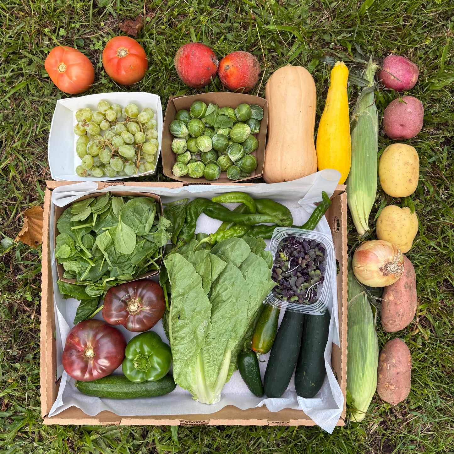 Farm Box