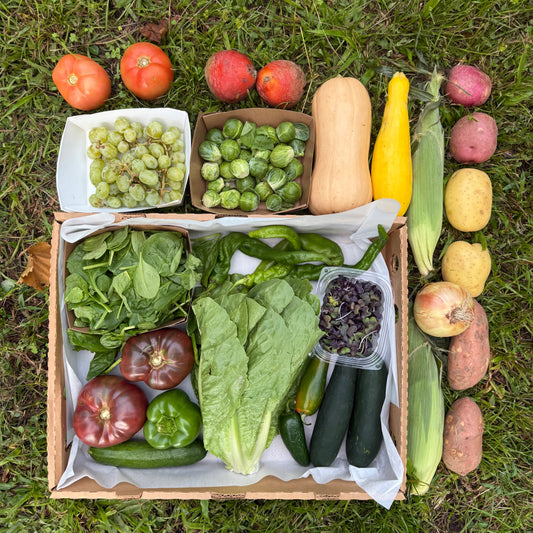 Farm Box