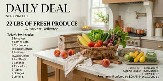 Daily Deal