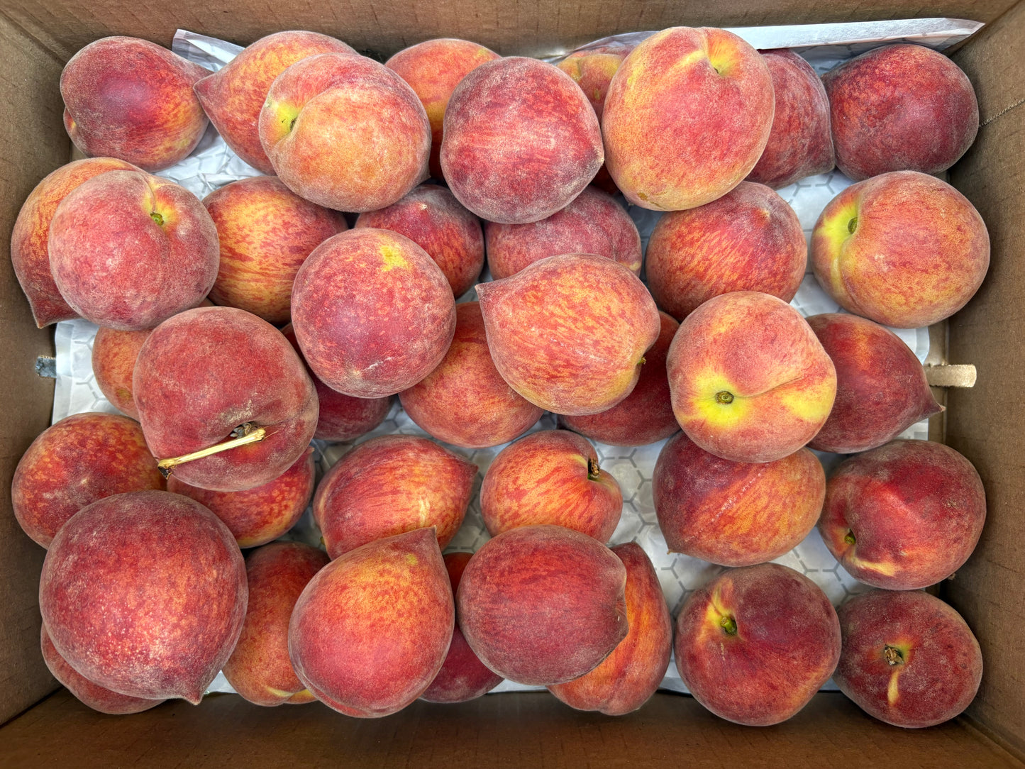 Peaches