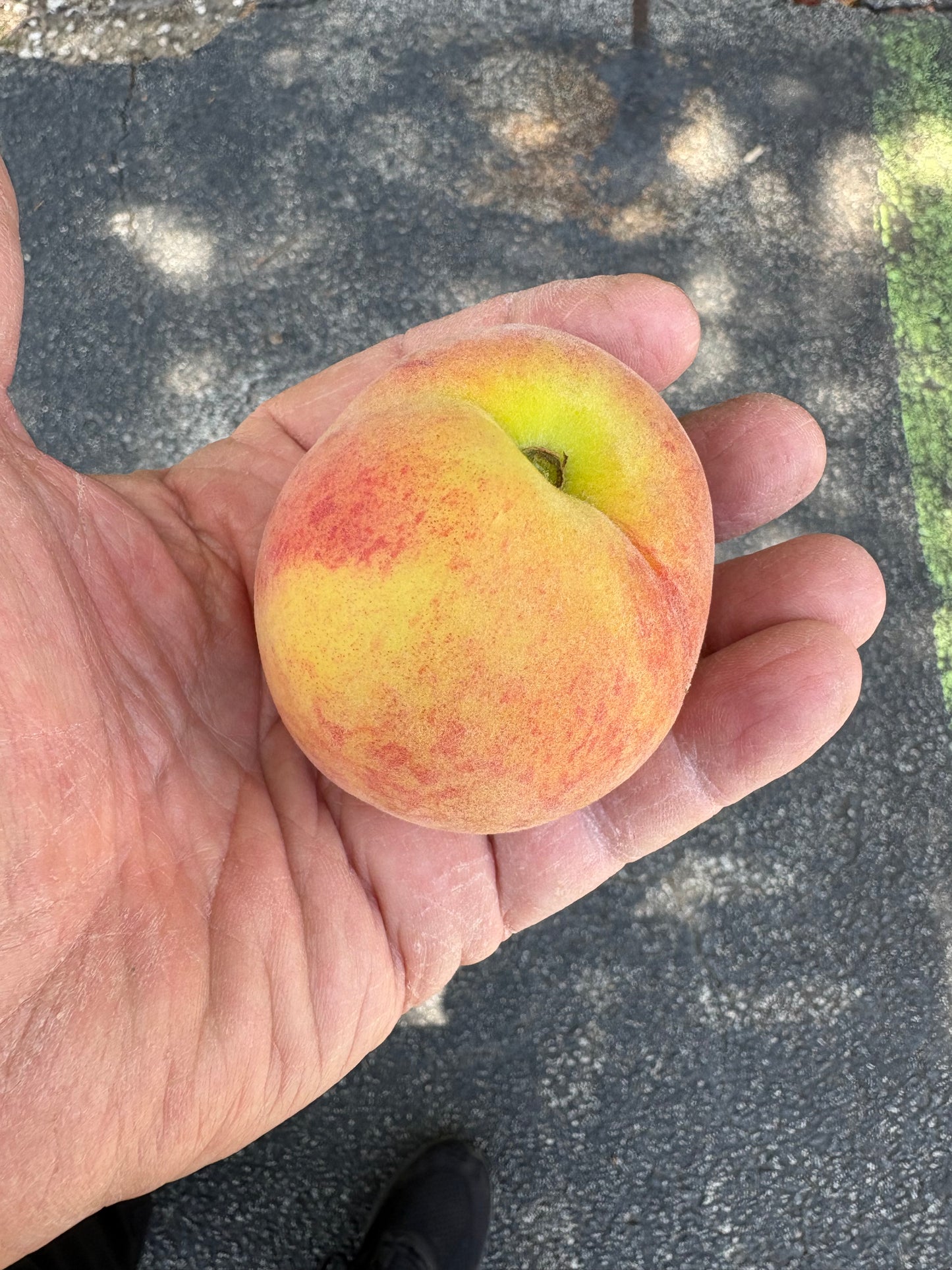 Peaches