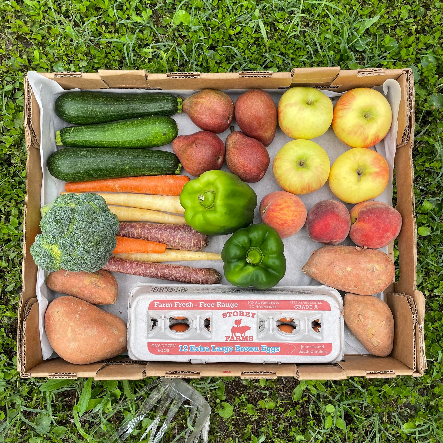 WADE Produce Box Rainbow Packaging Corporation