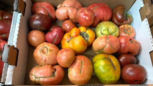 Tomato Box