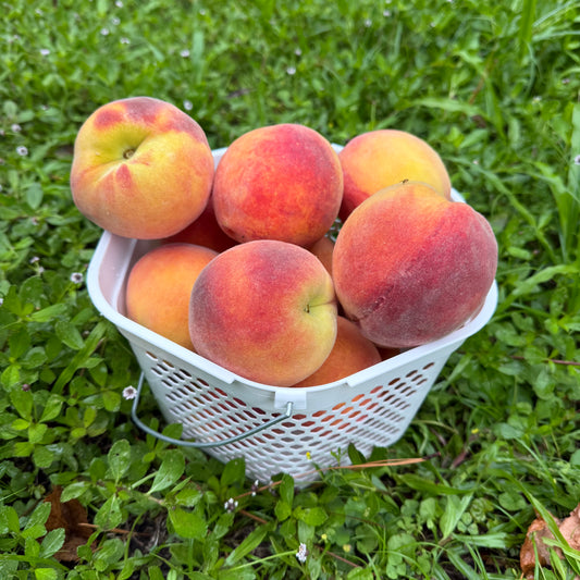 Peaches