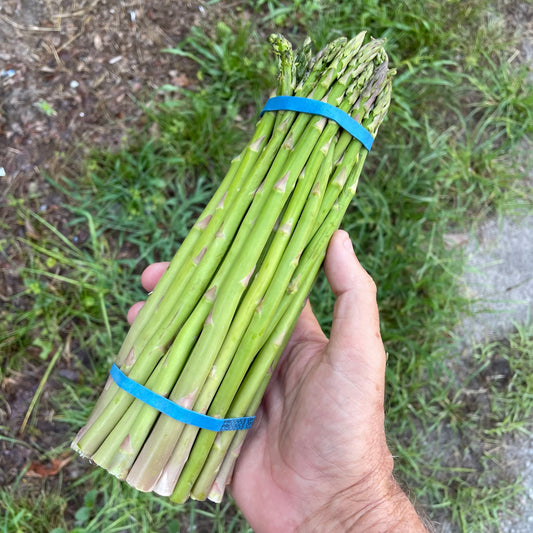Asparagus