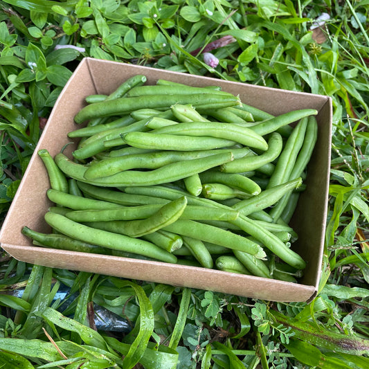 Green beans