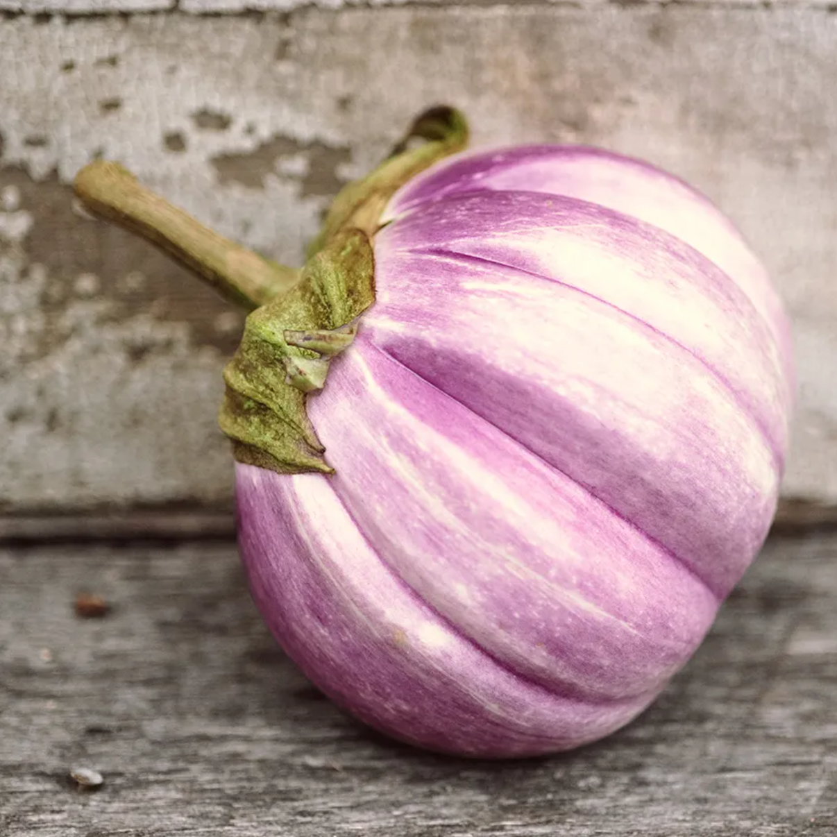 Eggplant