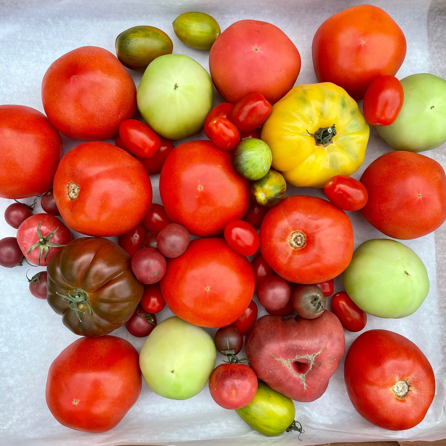 Tomato Box