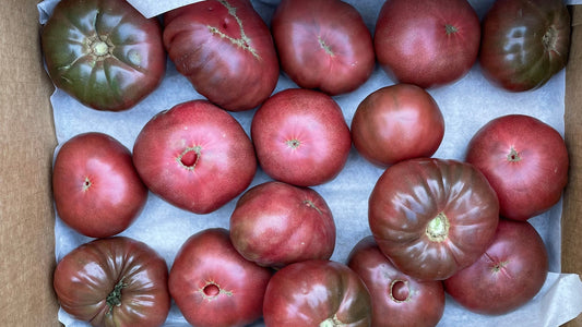Tomato Box