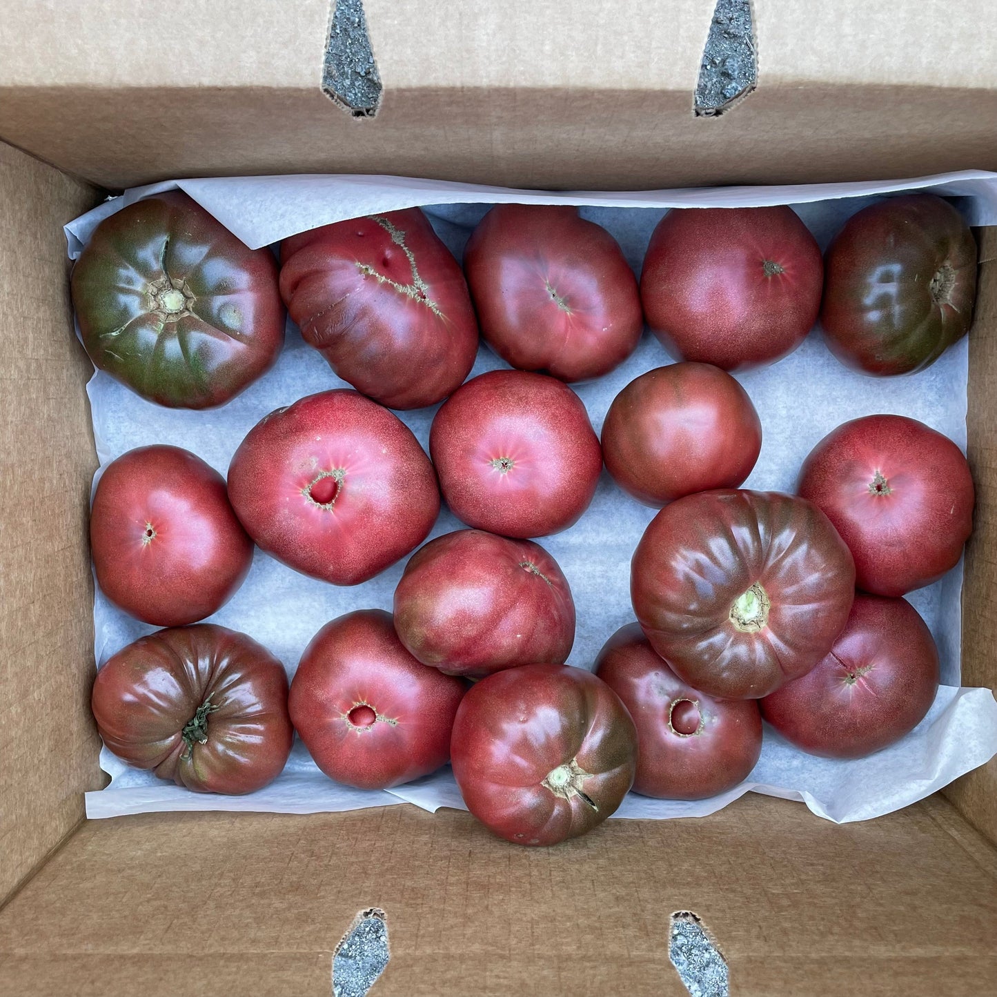 Tomato Box