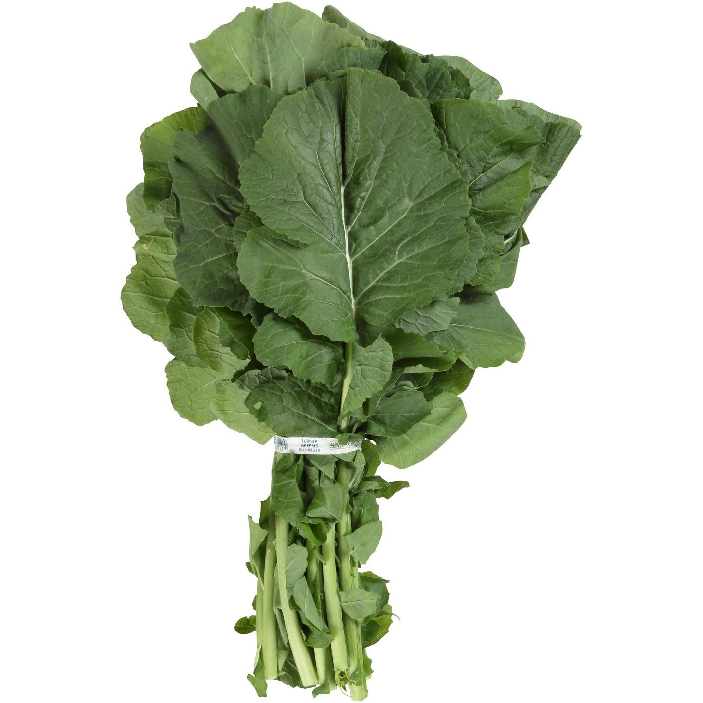 Greens