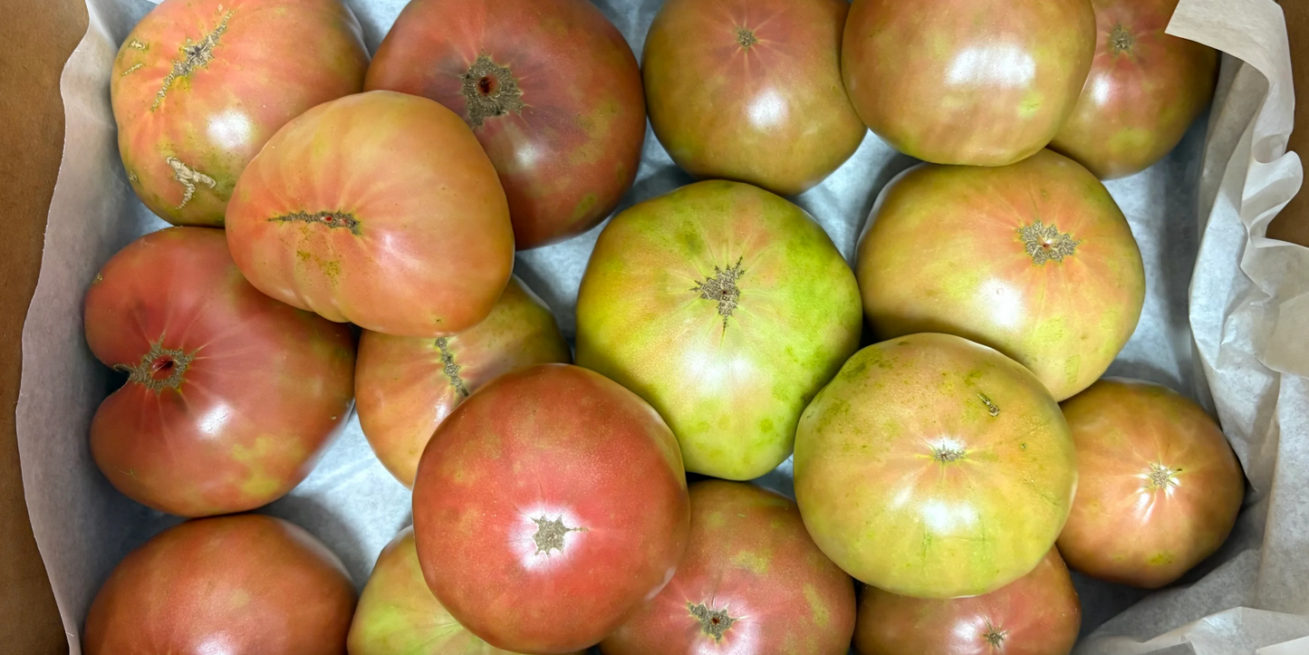 Tomato Box