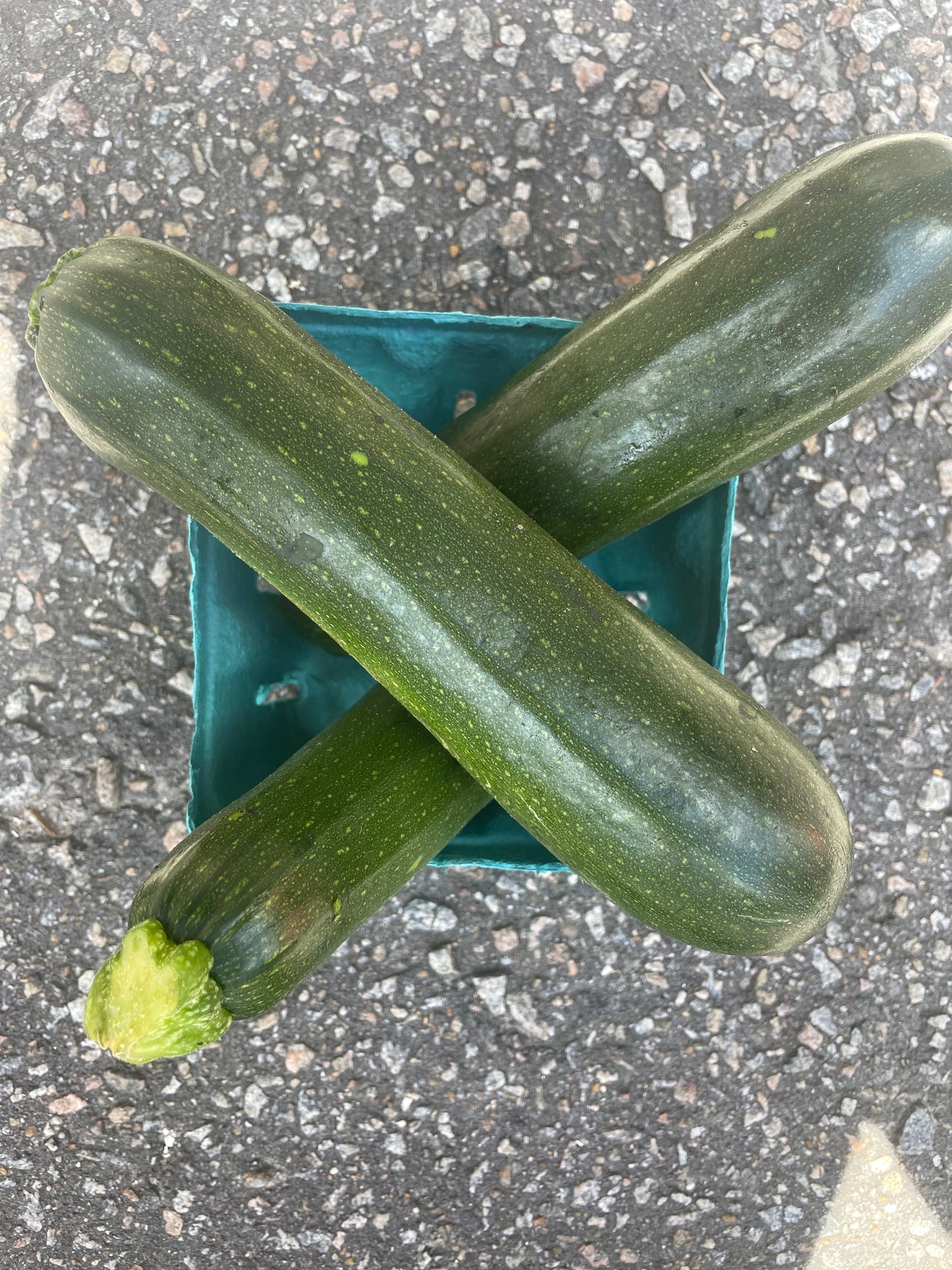 Squash