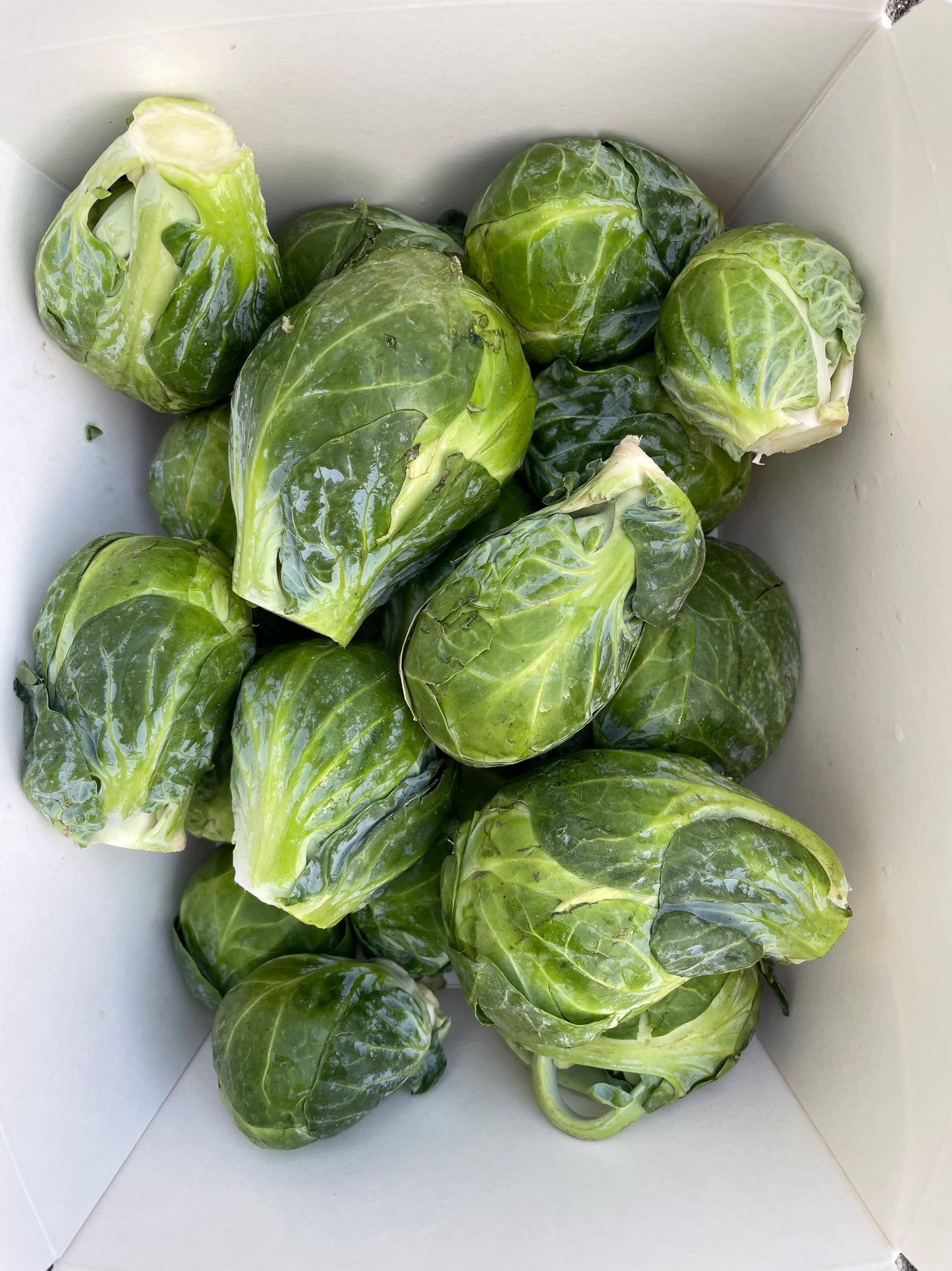 Brussels Sprouts