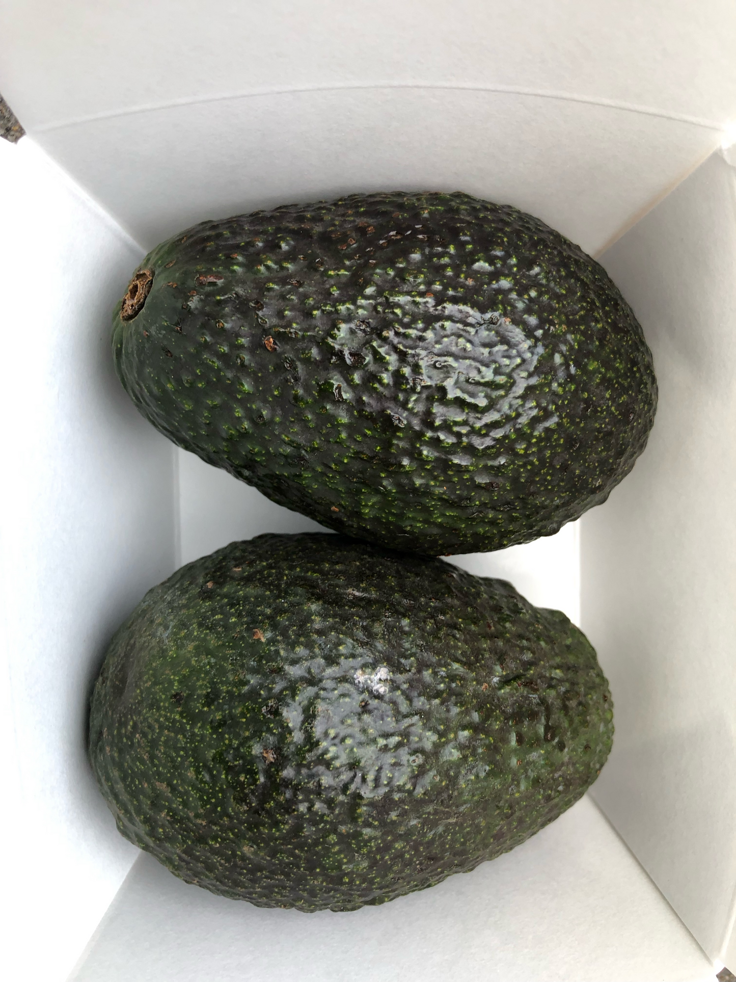 Avocados