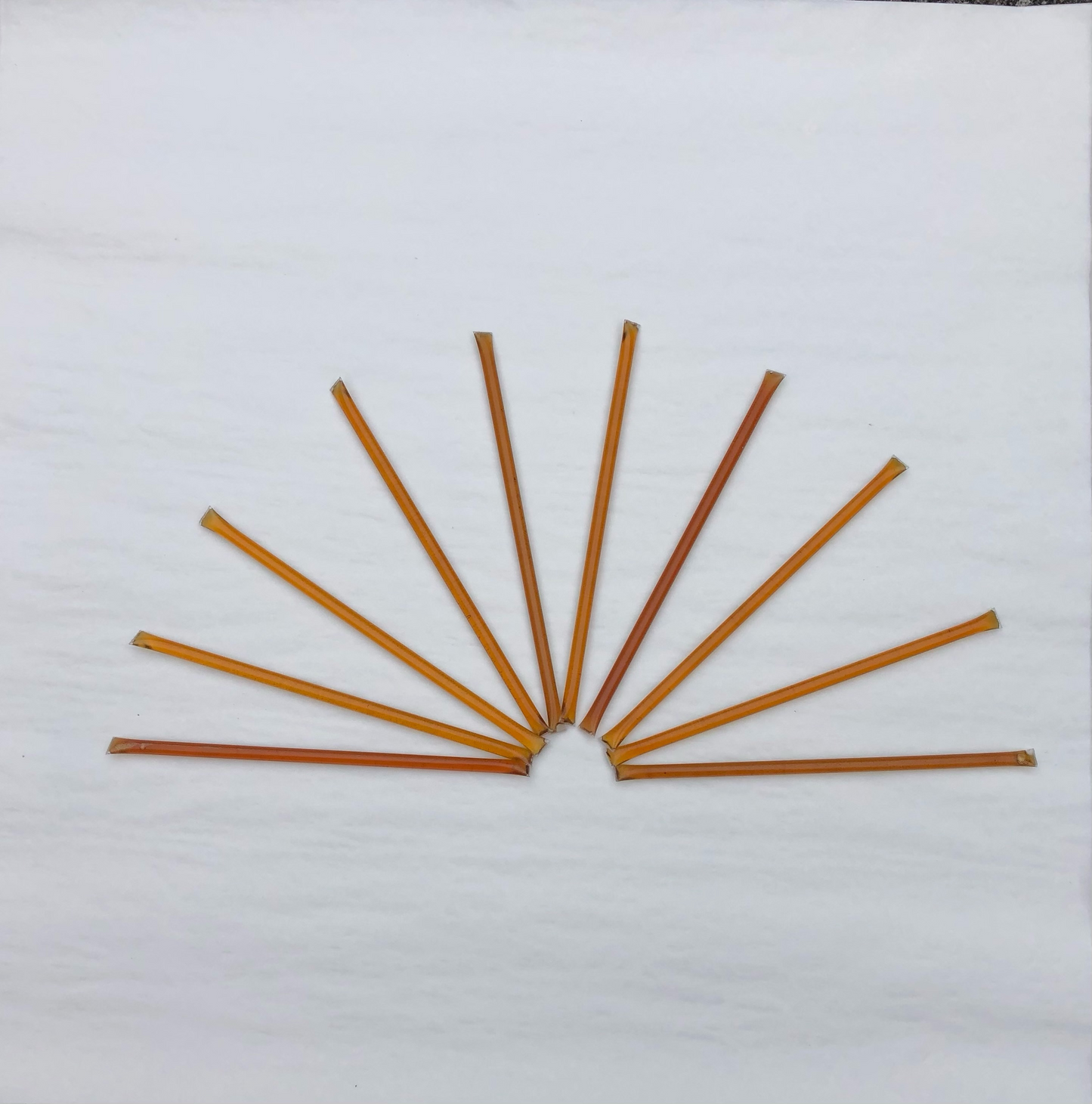 Honey Sticks