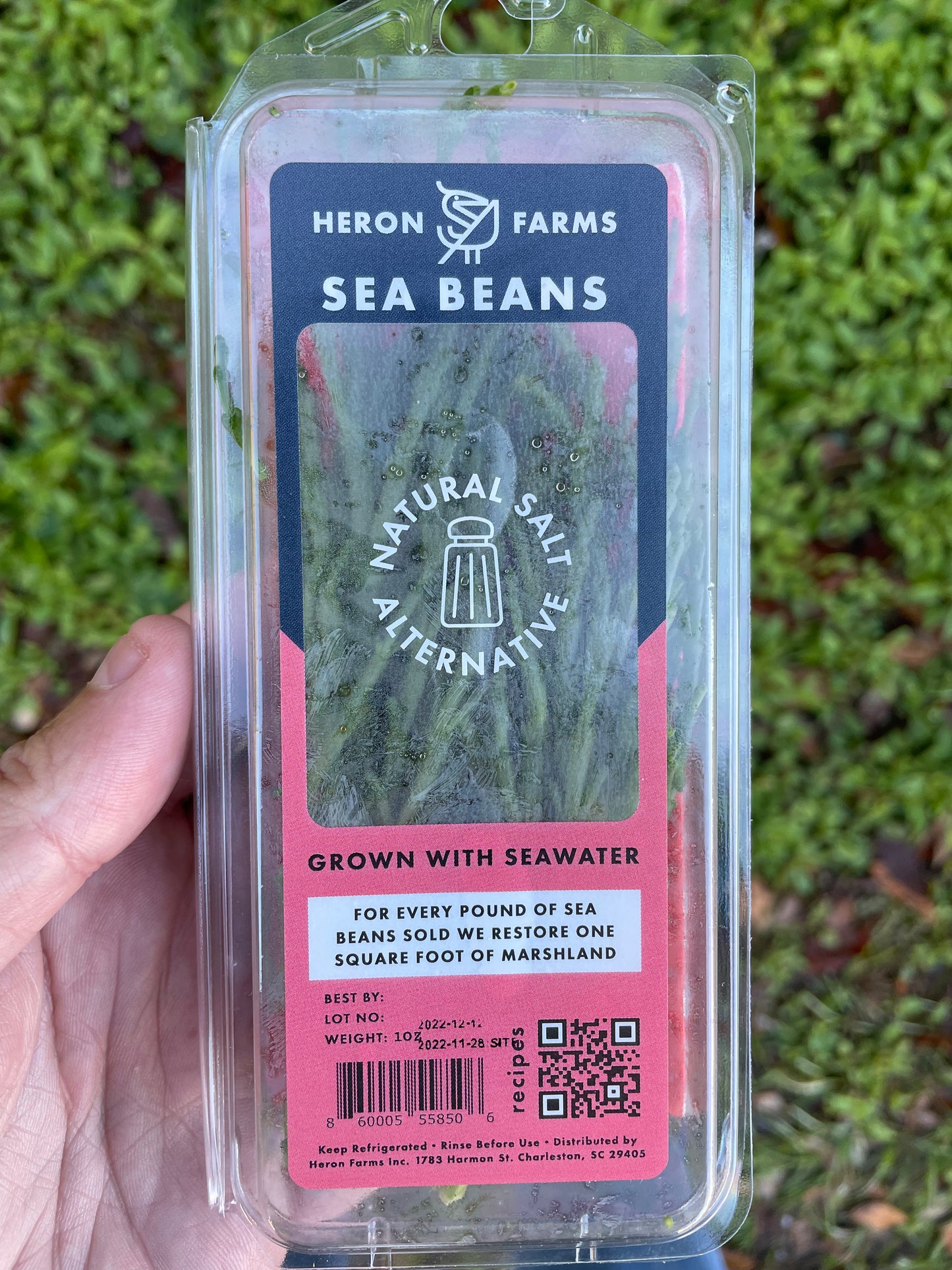 Sea Beans