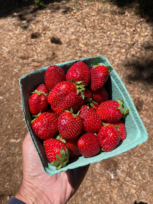 Strawberries