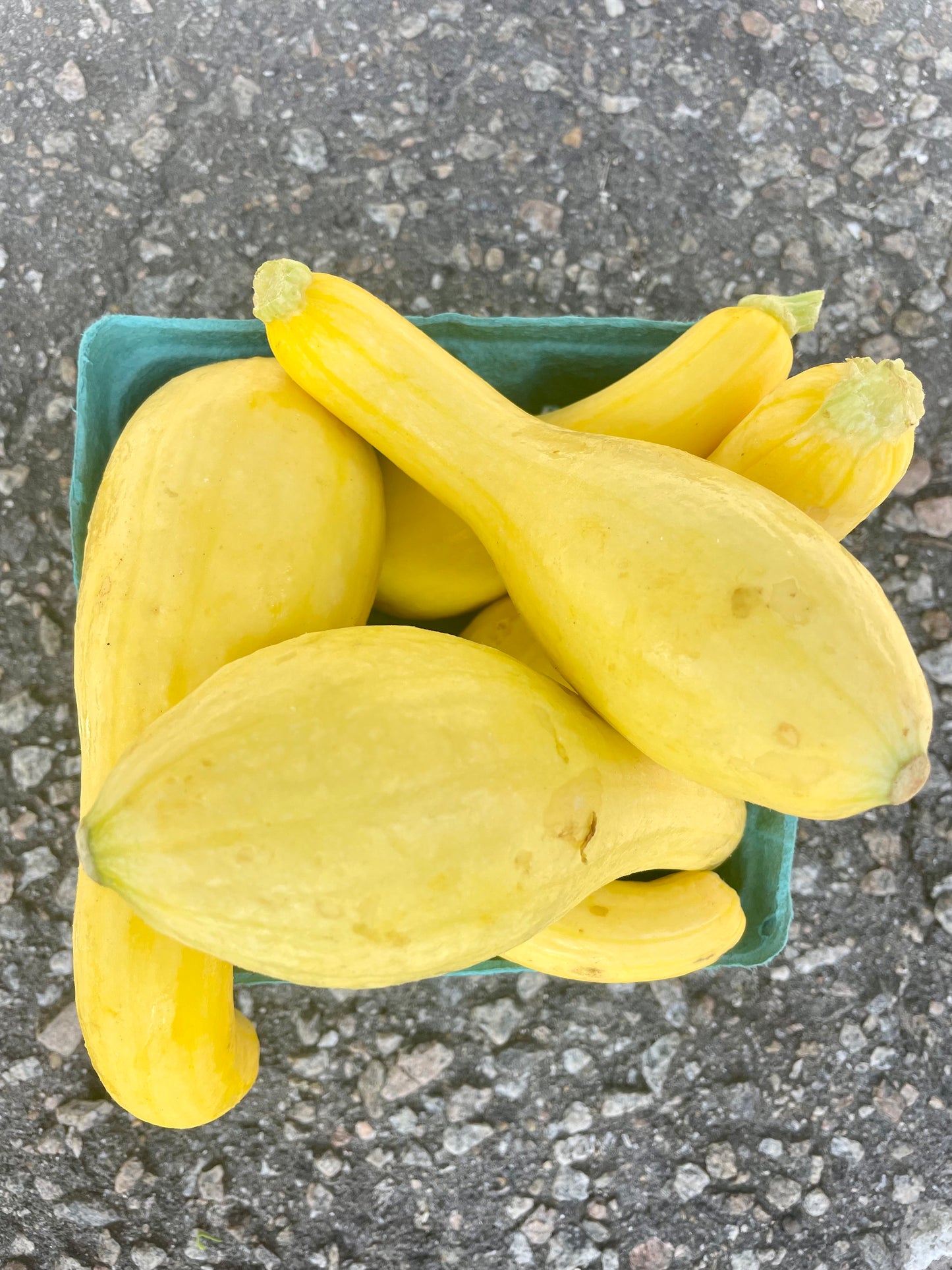 Squash